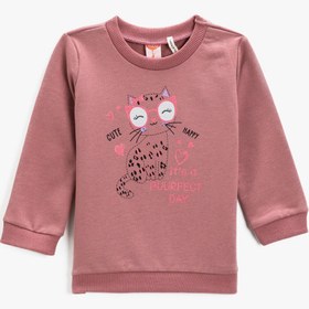 Resim Kız Bebek Baskılı Bisiklet Yaka Sweatshirt Pamuklu 