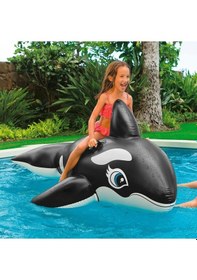 Resim Balina Binici - Çocuk Şişme Balina - Deniz Binici Balina - Havuz Binici Balina Whale 193x119 Cm. 