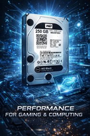 Resim DİSK BANK 250 GB WD Black 3.5 Harddisk (MASAÜSTÜ BİLGİSAYAR OYUN&PERFORMANS İÇİNDİR. ) 