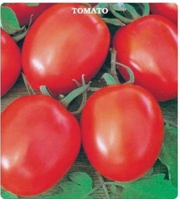 Resim H-2274 Domates Tohumu 2 Gram 1 Set 