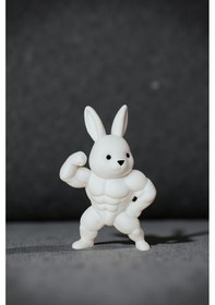 Resim Kol Kası Gösteren Tatlı Tavşan Torpido Süsü - Fitness Tavşanı Torpido Süsü Araba Aksesuar Süsü 