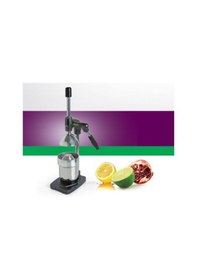 Resim Sanayi Tipi Özlem Portakal Nar Sıkacağı 