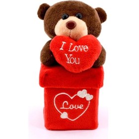 Resim Kalpli Peluş Ayıcık I Love You Mesajlı Hediye Ayı Sevgiliye Özel Kutu Üstü Peluş Oyuncak Çok Renkli 