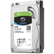 Resim SEAGETE 4 Tb Skyhawk 