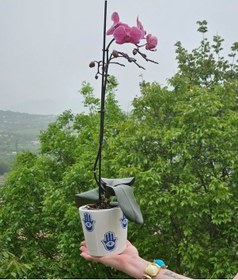 Resim Altı Delikli Fatmanın Eli Seramik Saksı 