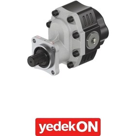 Resim 40 Serisi Iso Cift Yonlu Disli Pompalar 