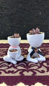 Resim Sevimli Çift Saksı Ay Taşı Sukulent Seti - Pembe 