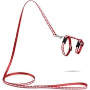 Resim Beeztees Yavru Kedi Göğüs Tasması Ve Gezdirme Kayışı 120cm, Kırmızı, 16-25cm Boyun, 23-36cm Göğüs 