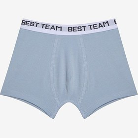 Resim Penti Erkek Çocuk Team Play 2li Çok Renkli Boxer Çok Renkli Çok Renkli 