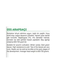 Resim AGRodal Tarım Ata Tohumu Yerli Doğal Marul Arapsaçı 1000 Tohum 