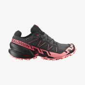 Resim Salomon SPEEDCROSS 6 GORE-TEX Kadın Koşu Ayakkabısı Nine Iron L47880400 