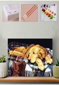 Resim Sayılarla Boyama Seti - Golden Köpek 