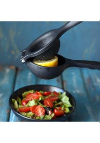 Resim Döküm Limon S ıkacağı 