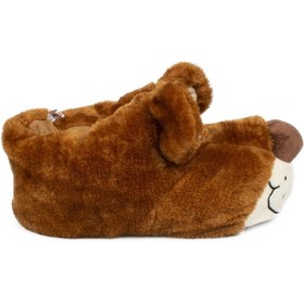 Resim Twigy Tt0658z Tw Fibert Kahverengi Kadın Panduf 