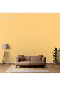 Resim Marshall Sil-pak Plus İç Cephe Boyası Antik Altın 15l 15 L 