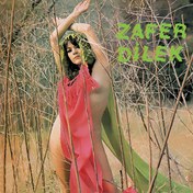 Resim Zafer Dilek - Oyun Havaları Plak 