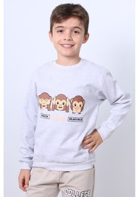 Resim Hçm Erkek Çocuk Şardonlu Sweat Karakter Baskılı Ribanalı E34 Gri 
