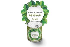 Resim Toyigoo Buffer® Konserve Bahçem Evde Konservede Kekik Dağ Kekiği Yetiştirme Kiti TYGRSYT9573 