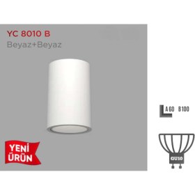 Resim Ycl Sıva Üstü Dekoratif Armatür YC-8110B 