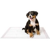 Resim Mydog Eko Çiş Pedi 60 x 90 CM 30'lu 