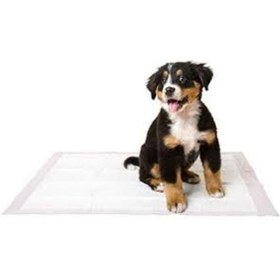 Resim Mydog Eko Çiş Pedi 60 x 90 CM 30'lu 