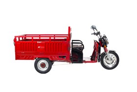 Resim Stmax Gf5000 3 Tekerli Kasalı Elektrikli Moped - Gri 