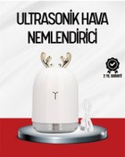 Resim Flamex El Tipi USB Mini Soğuk Mist Nemlendirici 220 ml Tank 