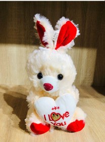 Resim Peluş Tavşan Seni Seviyorum Yazılı I Love You Karışık 