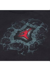 Resim Nike Nıke Jordan Jersey Break Through Erkek Çocuk Tişört 95f605 95f605 G0t G0t 