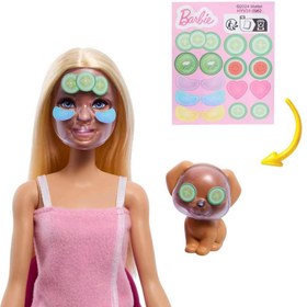 Resim Barbie Güzellik Salonu Oyun Seti HYV31 