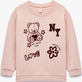 Resim Kız Bebek Ayıcık Baskılı Uzun Kollu Bisiklet Yaka Pamuklu Şardonlu Sweatshirt 