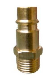 Resim Sappower1/4 Erkek Sarı Rekor 