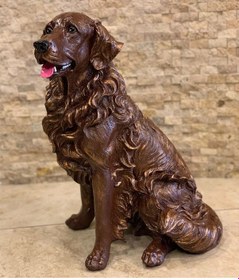 Resim By Ari Golden Köpek Bd318-2 Diğer 