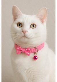 Resim Mıt Kedi Boyun Tasması Papyonlu Pembe 