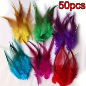 Resim 50 Adet Kedi Oyuncak Tüy Çubuğu, Renkli Uçlu Sülünkuyrukları DIY Dekorasyon Malzemesi, Şenlikli Kedi Aktivitesi, Evcil Hayvan Eğlencesi, İnce Yapılı Desenler, Süslemeler için Materyal, Pürüzlü Olmayan Yuvarlak Kenarlar, Çift Başlı Tutacaklar 