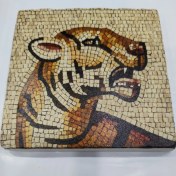 Resim Şeker Portakalım Dekoratif Figürlü Doğal Taş Banyo Gider Kapağı Süsü Tekli 10X10 cm 