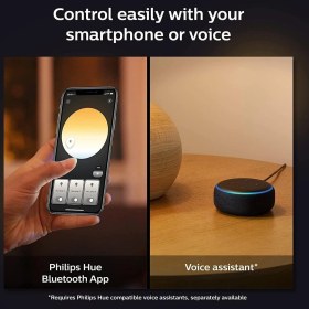 Resim Hue Beyaz Amb. Enrave Tavan Lambası M Siyah, 2400 Lm, Dimmer Anahtarlı 