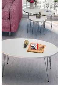 Resim Zigon Sehpa Ve Orta Sehpa Elips Set Gümüş Beyaz Tel Diğer 