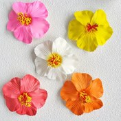 Resim 5 adet/3 adet Kadın Hibiskus Çiçeği Saç Tokaları Tatil Stili Plaj Tatlı Saç Tokaları Düz Renk Bohem Sevimli Çok Yönlü Saç Tokaları Saç Aksesuarları 