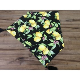 Resim Siyah Zemin Limon Desenli Runner Çok Renkli 