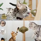 Resim Kedi Nanesi Oyun Topu 