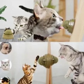 Resim Kedi Nanesi Oyun Topu 