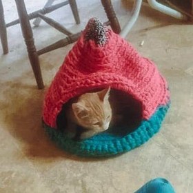 Resim El Örgüsü Kedi Yatağı 