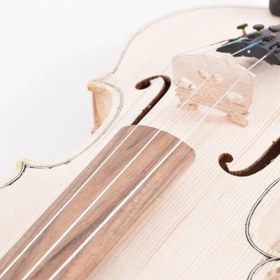 Resim Dominguez DV44PLN Başlangıç Serisi Keman Seti (4/4) | Başlangıç Paketi Kutu ve Yay Dahil 