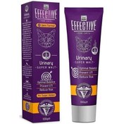 Resim Delibon Effective Üriner Sistem Destekleyici Kedi Malt Macunu 100 G 