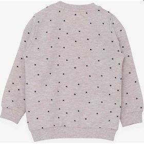 Resim Breeze Kız Bebek Sweatshirt Mutlu Kedicikler 4 Ay-1.5 Yaş, Bej Me ((550294310) 