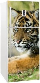 Resim Buzdolabı Kapağı Kaplama Sticker 0015 BUZS000015 