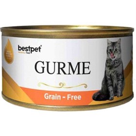 Resim Bestpet Gourme Somonlu Jelly Yetişkin Kedi Yaş Maması 85 gr 