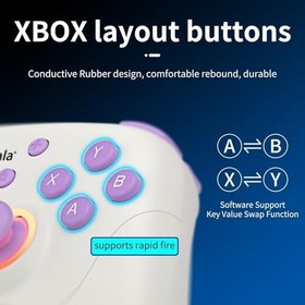 Resim gizala Kablosuz Oyun Kontrolcüsü Gamepad Hall Effect Triggers Joystick Game Controller Switch 2 / Switch/PC/Steam/Android/IOS (Beyaz) 