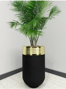 Resim Elegant Dekoratif Gold Darbuka Siyah Saksı 70cm 